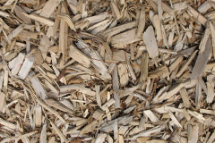 biomass boilers Ton Teg